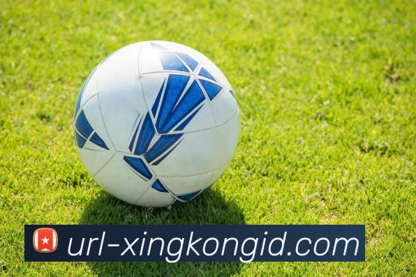 星空体育APP 封面图